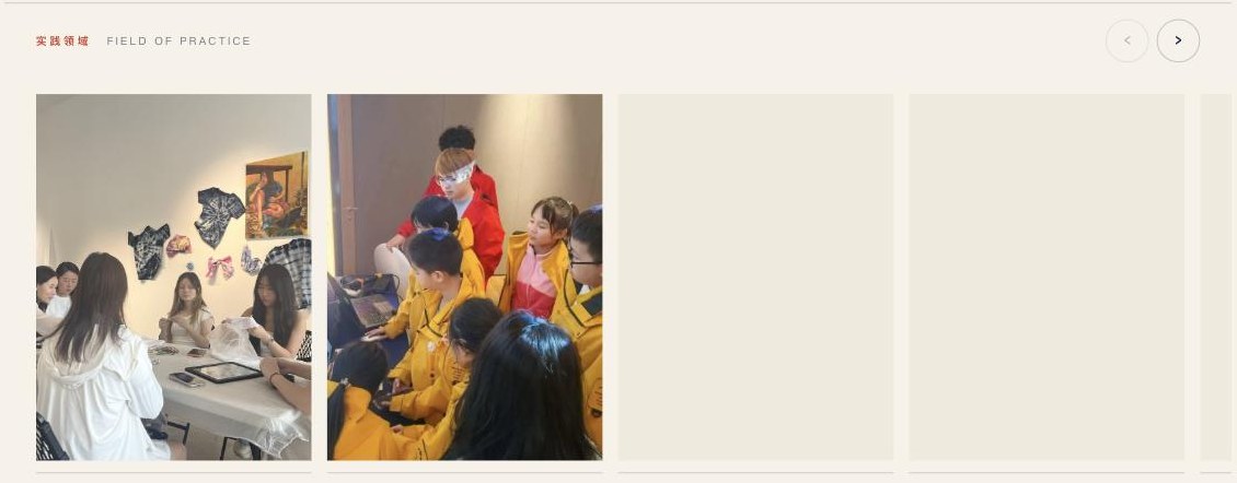 Fields of practice carousel with numbered categories: arts and culture, AI, environmental practice, international practice