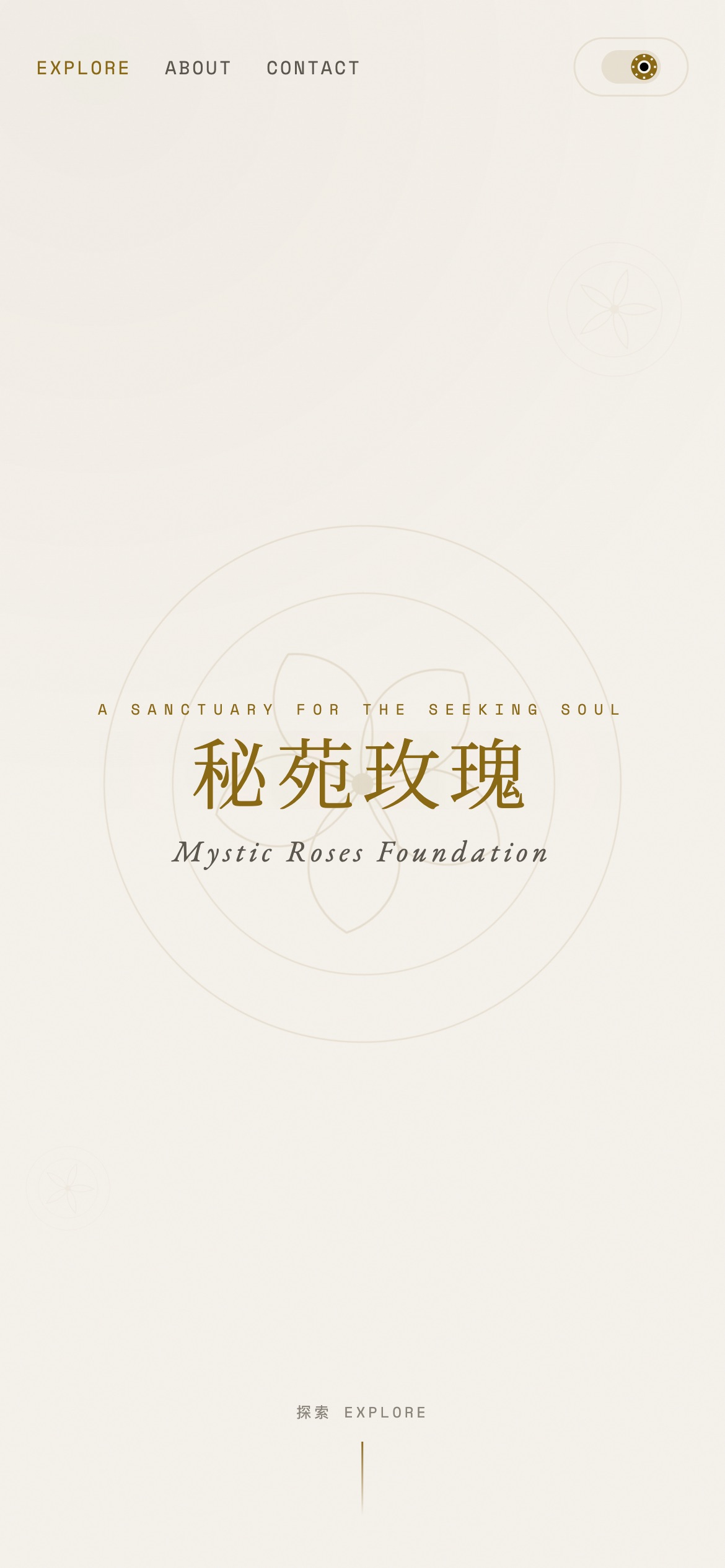 Website project showcase